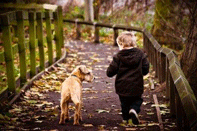 Image of a Dog and Child Hiking