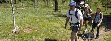 Family and Dog out Hiking.