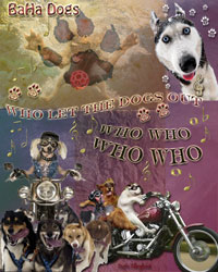 Who Let The Dogs Out